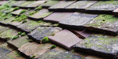 Greynor roof repair costs